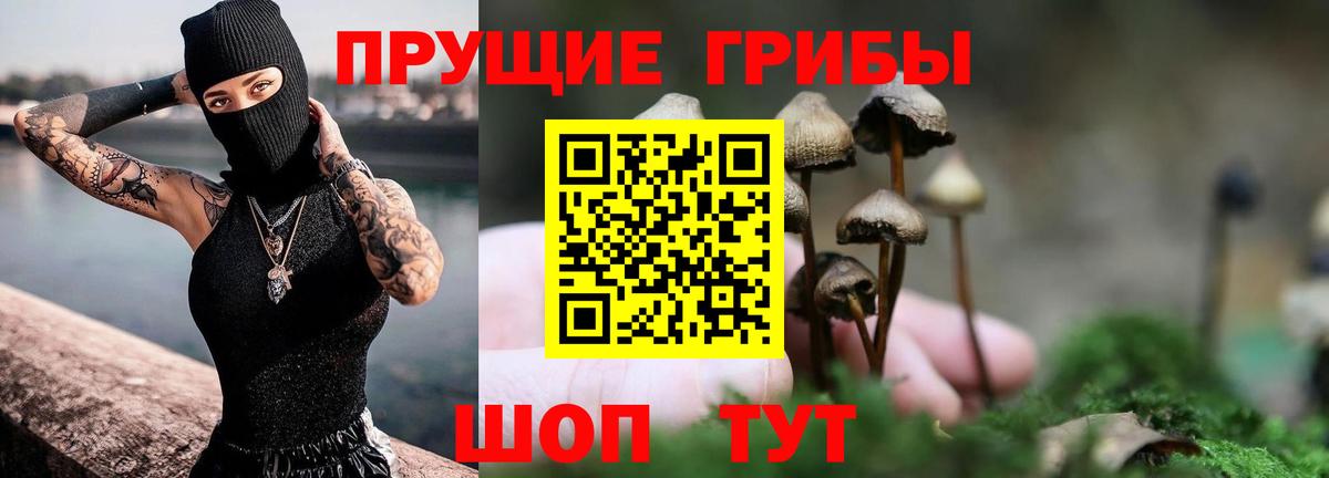 Кимовск  Галлюциногенные грибы мицелий  купить  цена  Вход с VPN 